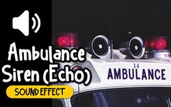 废弃机场的暴走动物丨铃声碎片的故事