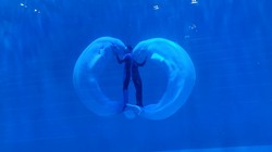 极地冰穹里的木偶暴走记！