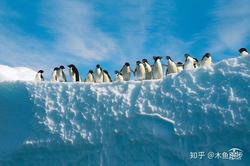 南极的秘密与祝福：一场心灵的远足