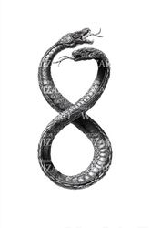 血雨湖心孤岛蛇形纹·一个不为人知的传说与真相