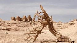 楼兰旧址诡异脚步·逆刻罗盘的未解之谜