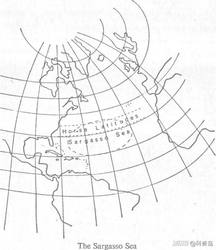 百慕大维度提升目击·一场科学与想象的交汇
