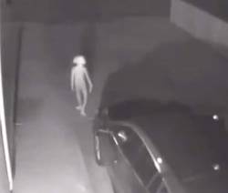 科罗拉多的雪地里，我遇见了小灰人？