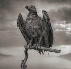 盐湖上的神秘倒影｜群体幻觉与自然奇观的交响