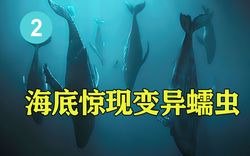 那些漂浮在太平洋上的“隐身僵尸”，到底吃掉了什么？
