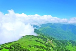 神农架金龙·揭秘千年神秘传说