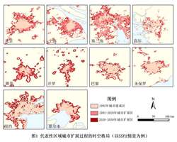 塞班岛迷思丨矩阵理论背后的生活哲学