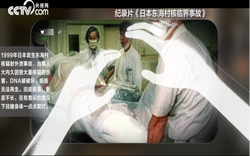 DNA激活阿拉伯海辐射残留丨科学与人文的交织