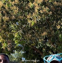 非洲的祝福，旧日支配者的遗产