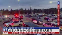 加拿大目击者证词·一场关于真相与隐私的公案