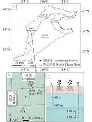 深井井下集体失忆铜盘丨一块不想被记住的金属