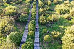 神农架利维坦风暴｜揭秘神秘的自然奇观