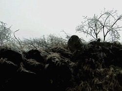 双重影像沙漠石林玻璃棺·一场关于虚幻与真实的荒漠之旅