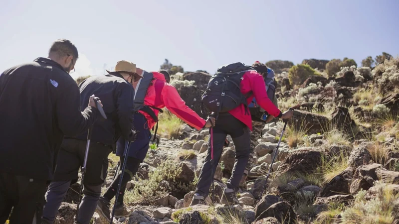 从乞力马扎罗作物圈事件看气候变化下的农业挑战！