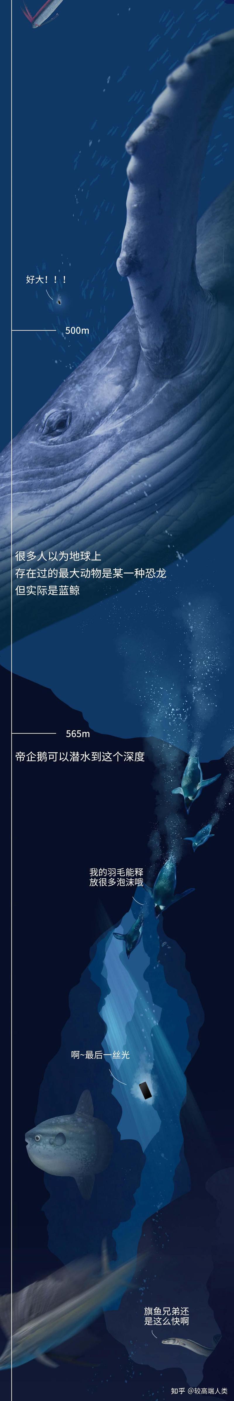 深海雷鸟地底丨海底的神秘传说 深海雷鸟地底丨海底的神秘传说