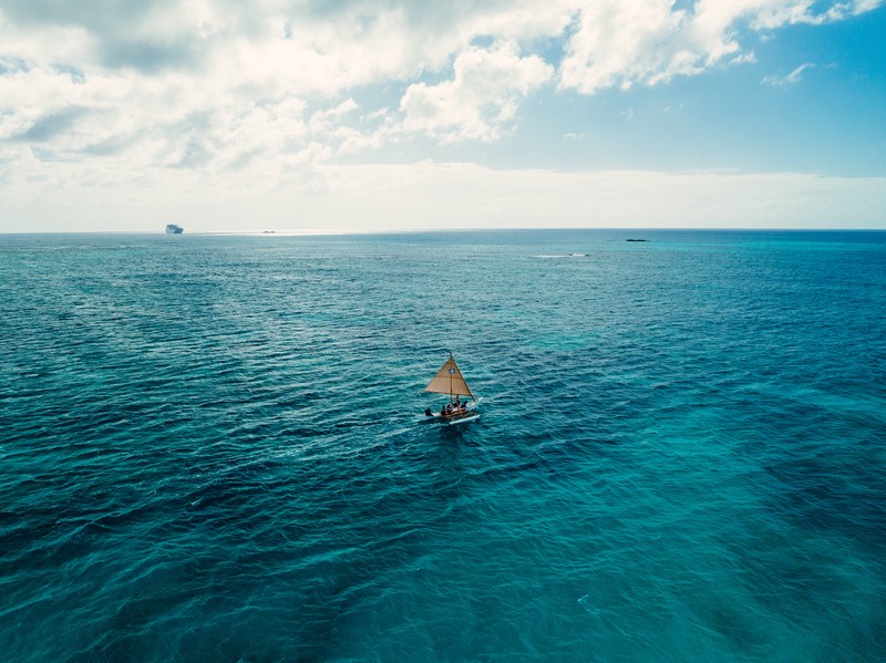 塞班岛—一场关于生命伦理的悲剧