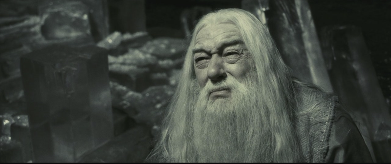 邓布利多的青春冒险！