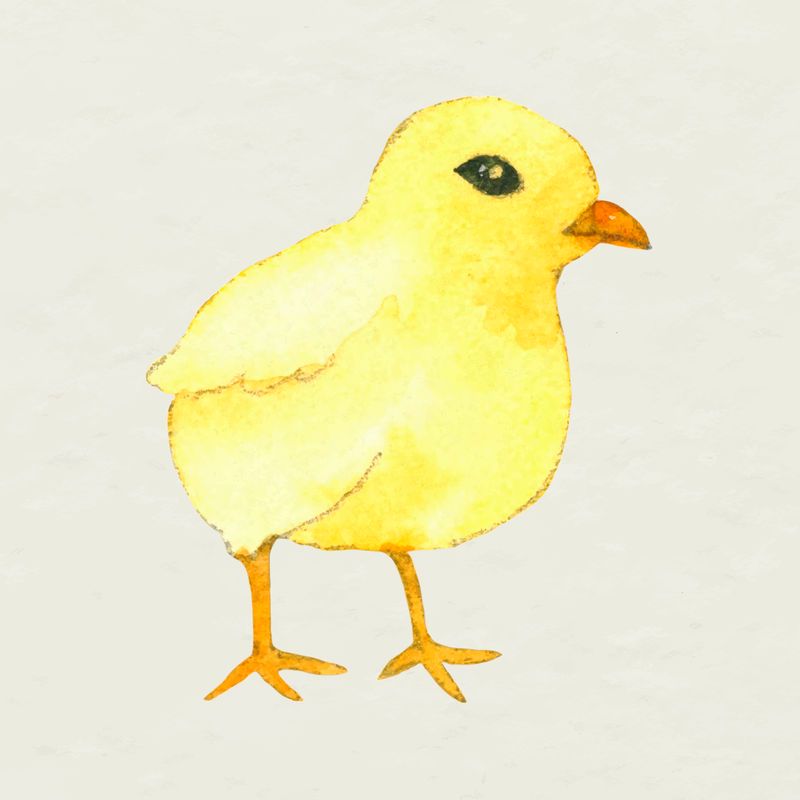 鸟群盘旋，复活节岛的神秘三角符号？