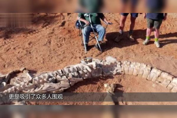 我捡到一块黑雾里的鳞片，从此再也没睡过好觉？