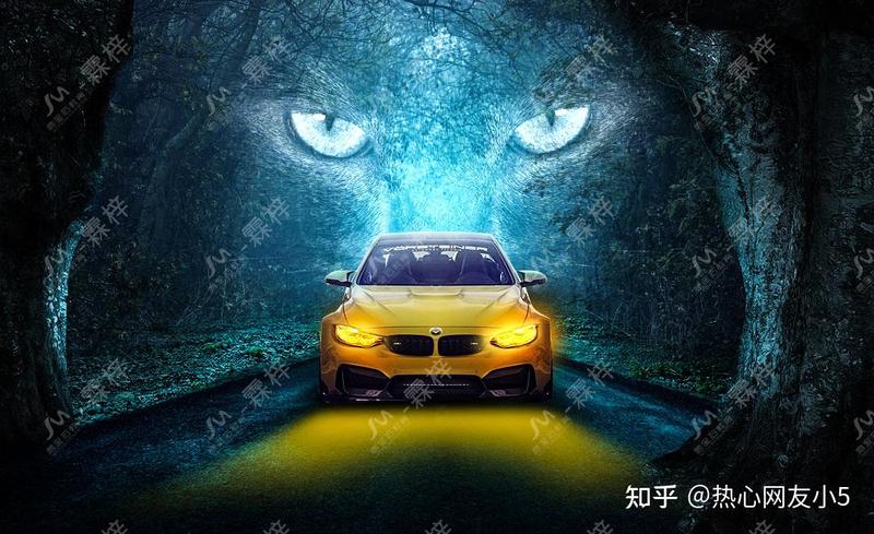 雨林深处，那些不为人知的“隐身者”·暗夜精灵的神秘生活