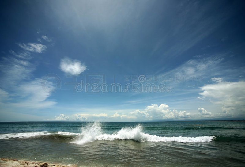 印度洋解剖视频现象：一场视觉与科学的盛宴