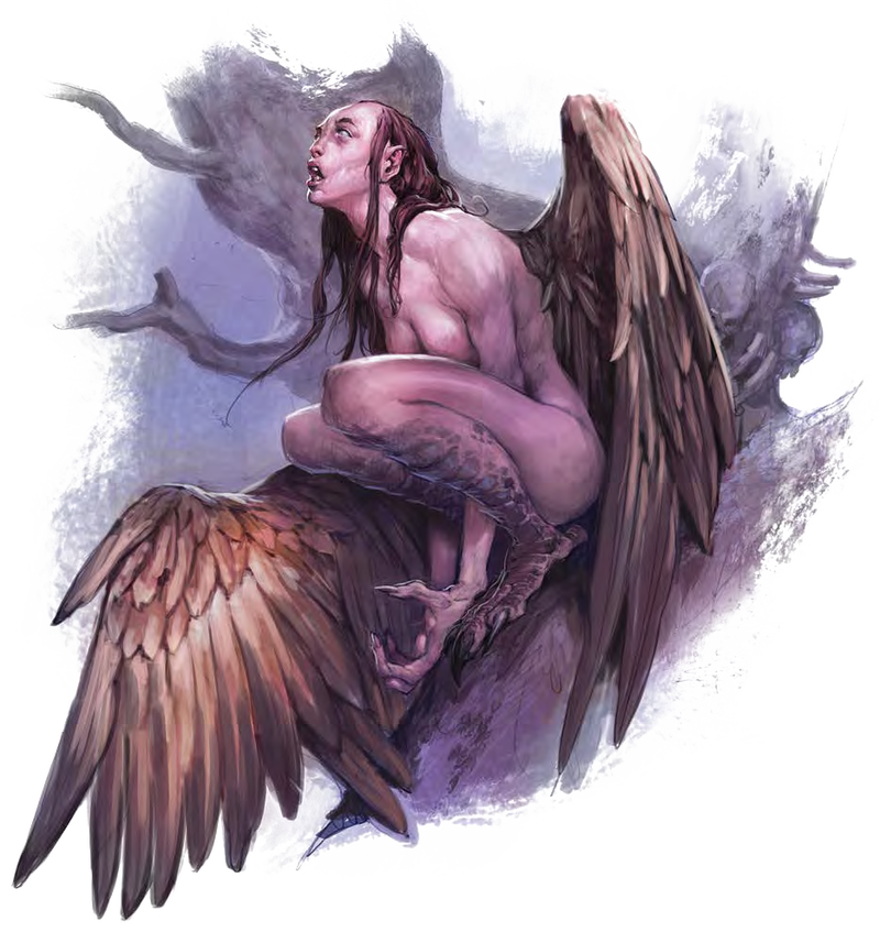 在沙漠尽头，我遇见了她：—鸟身女妖的火焰之语