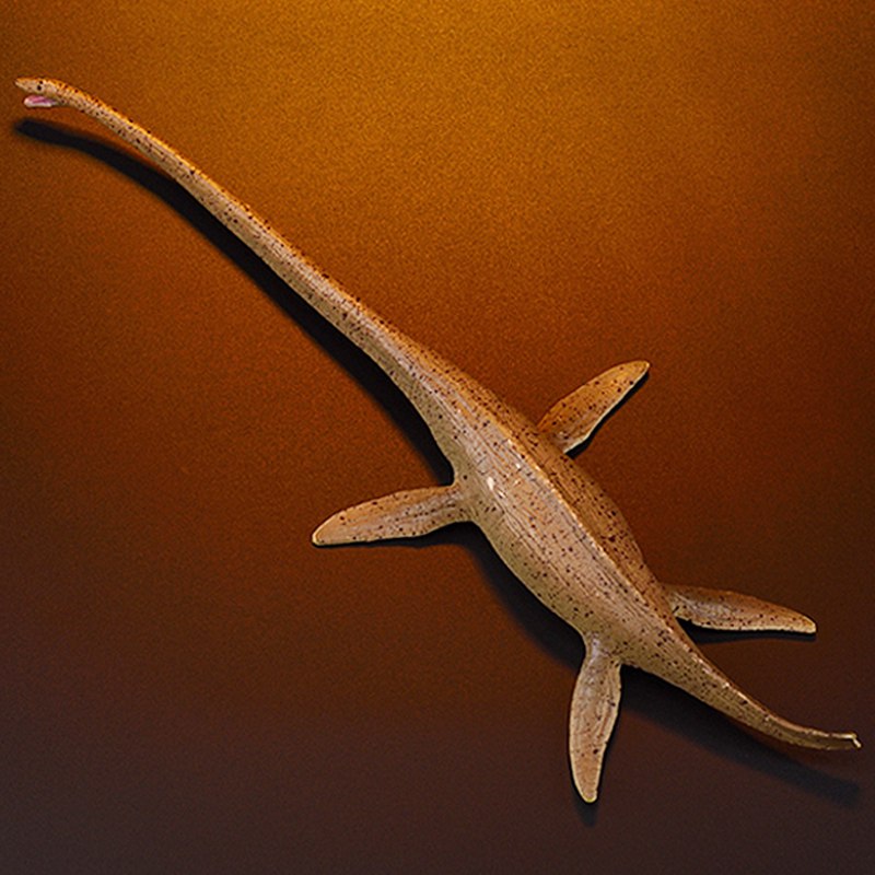 海底的神话丨远古太平洋白龙的传说与现实