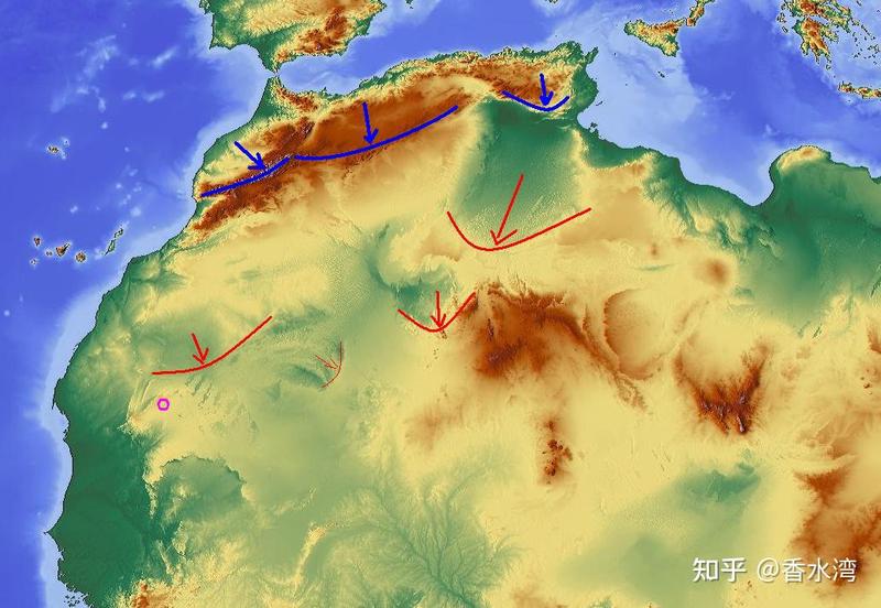 被抹去的撒哈拉：聊聊撒哈拉出生前遗忘现象