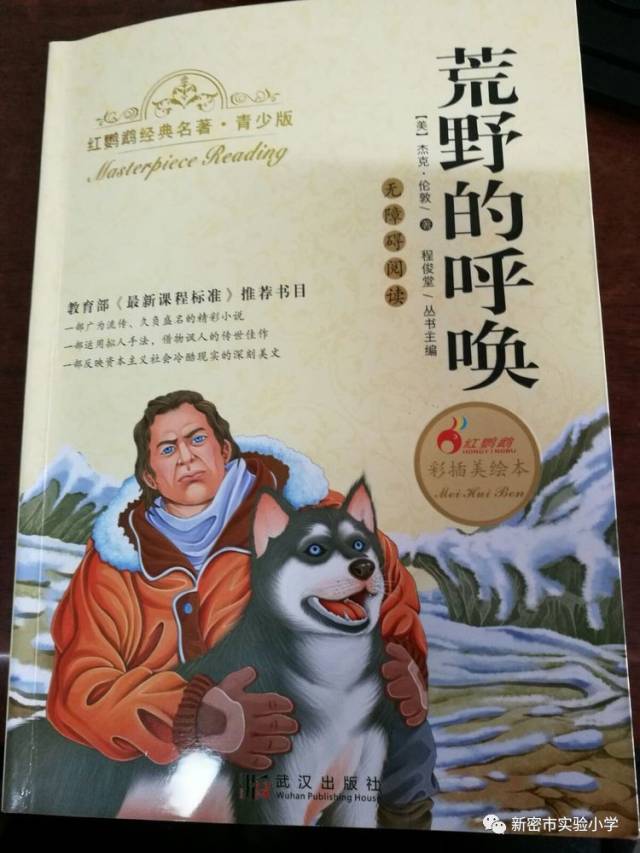 操场上的“会飞的纸飞机”？