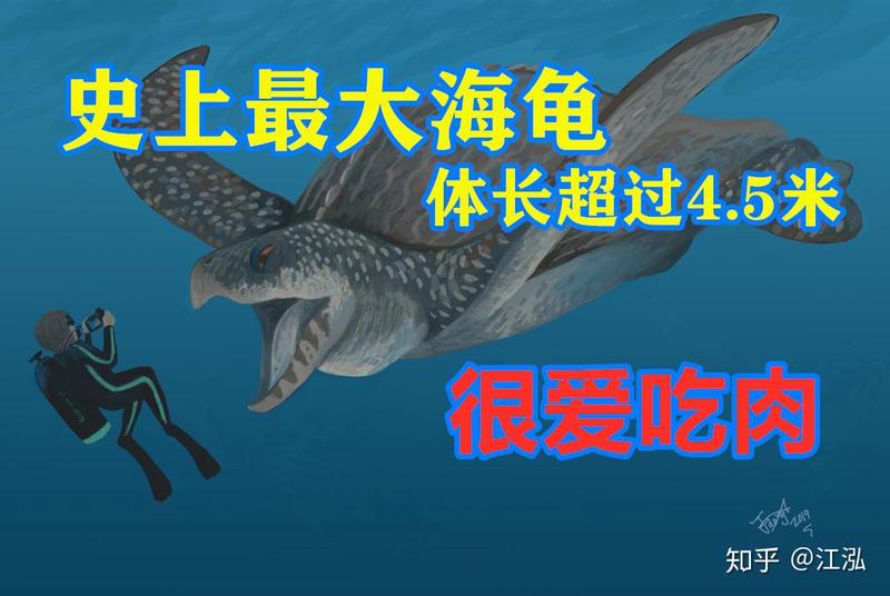 南极的巨龟之谜·一个未解的海洋谜团