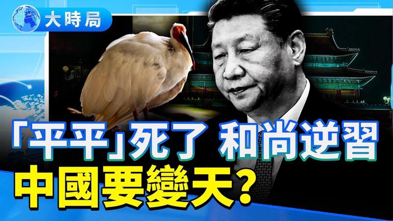 镜面碎片｜一桩离奇的失踪案