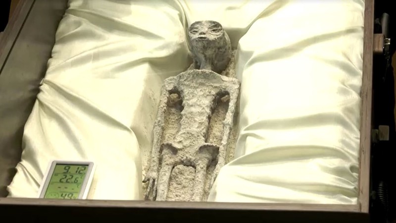 沙特的神秘面纱丨外星控制的传言与真相