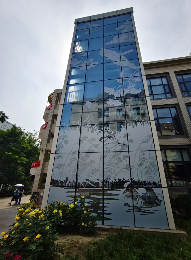 探秘百慕大低语墙｜玻璃棺中的神秘低语