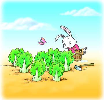 兔子洞里的夜光糖