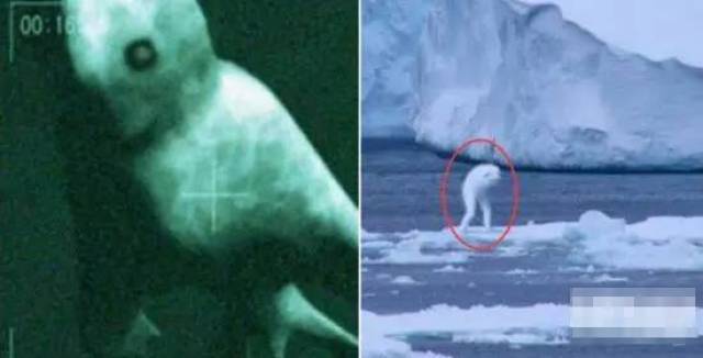 南极的神秘白龙｜探寻未解之谜的奇幻之旅