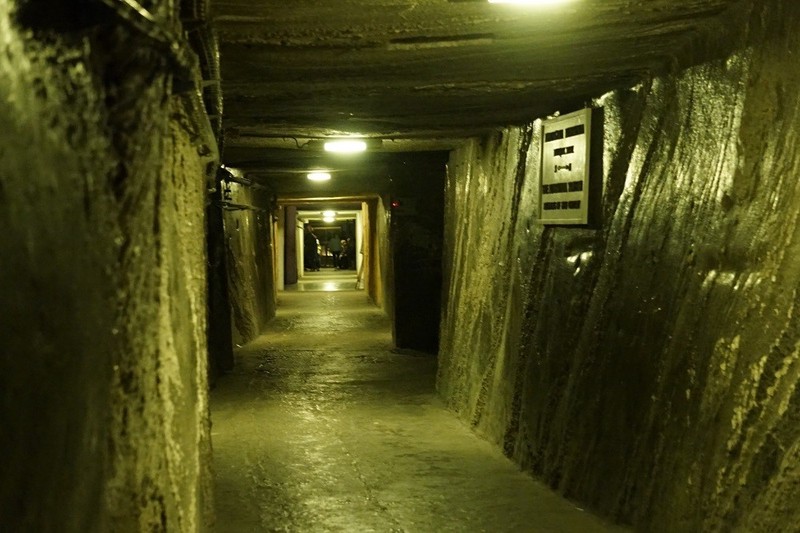 盐湖边的石头，写满了没人读的字！