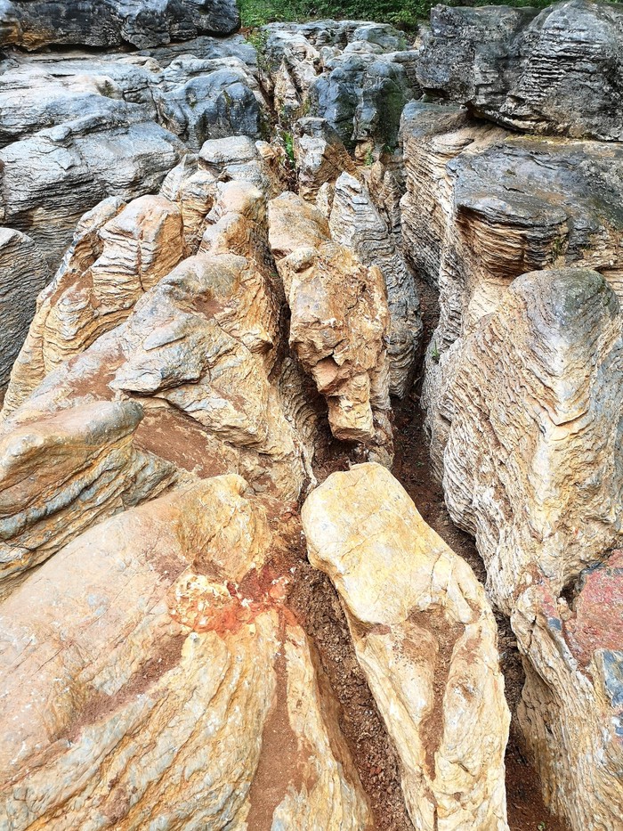 在贵州的山洞里，我见过一个“海怪”的影子？