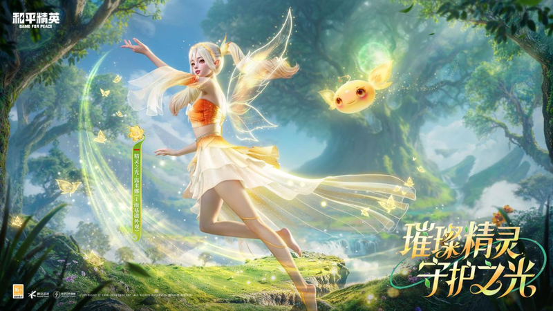 雨林深处，我遇见了会发光的“精灵”？