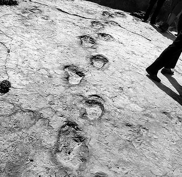 神农架脚印、阵骨、骸残迹·神秘的自然与人文之舞