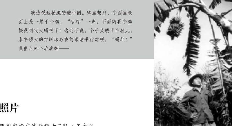 神奇的椅子丨乞力马扎罗蒙淘克椅子报告 神奇的椅子丨乞力马扎罗蒙淘克椅子报告