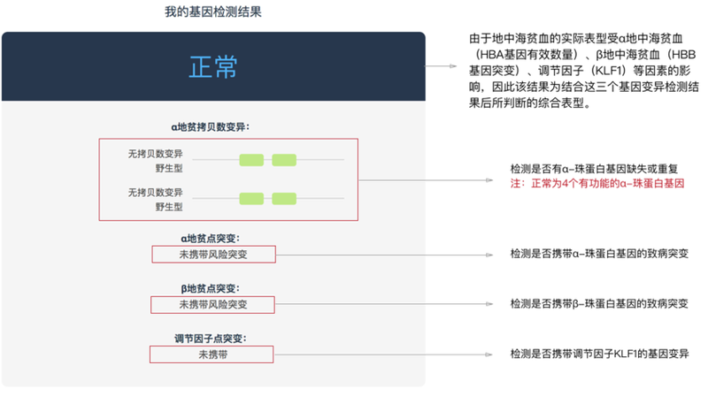 地中海家畜残割调查丨传统与科学的碰撞