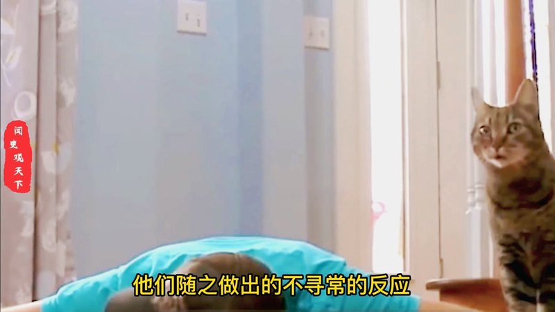 神农架的神秘传说—猫妖的隐身之谜