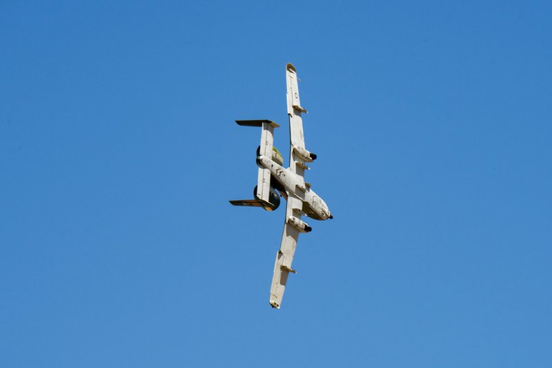 地中海雷电鹏鸟—天空中的闪电舞者