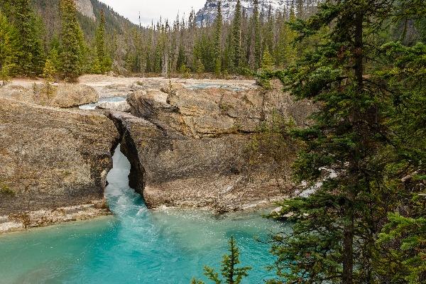 落基山脉的暗夜之光丨一个被遗忘的光明势力档案