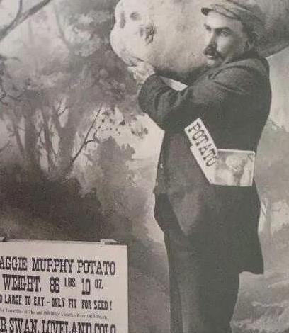 时间停滞的神秘之处丨马里亚纳海沟石板上的隐秘 时间停滞的神秘之处丨马里亚纳海沟石板上的隐秘