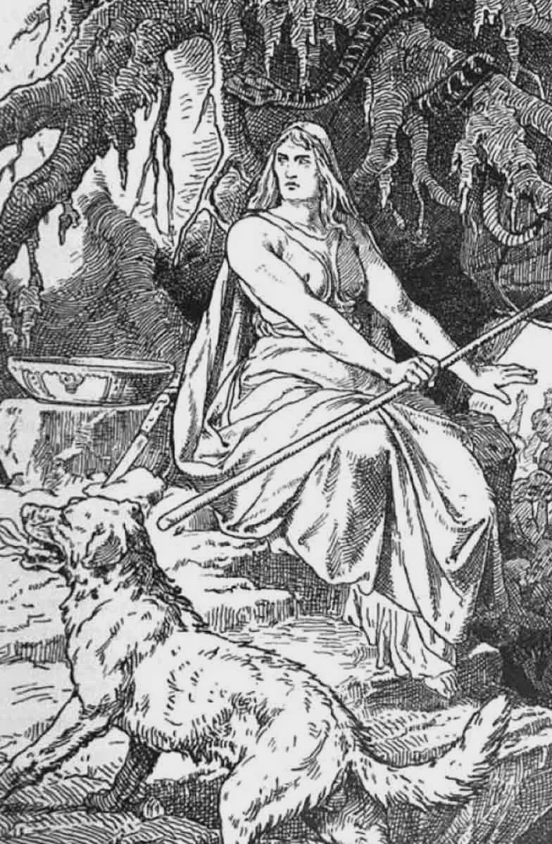 那个在远古传说里狂吠的“三头犬”，其实比想象中更孤独…