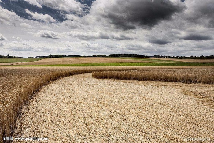麦田怪圈背后的真相：拉普兰的神秘现象