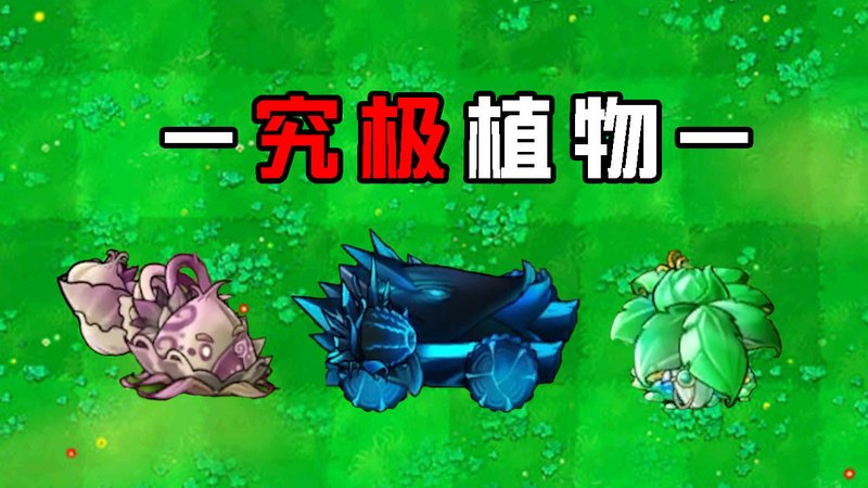 那片云里走出的神秘北极兽，你见过吗？