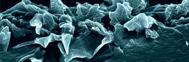 丹麦第五类接触现象·那些被遗忘在北欧风雪中的神秘故事