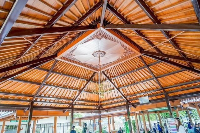 极光下的意识迷宫｜在拉普兰的清醒与迷失